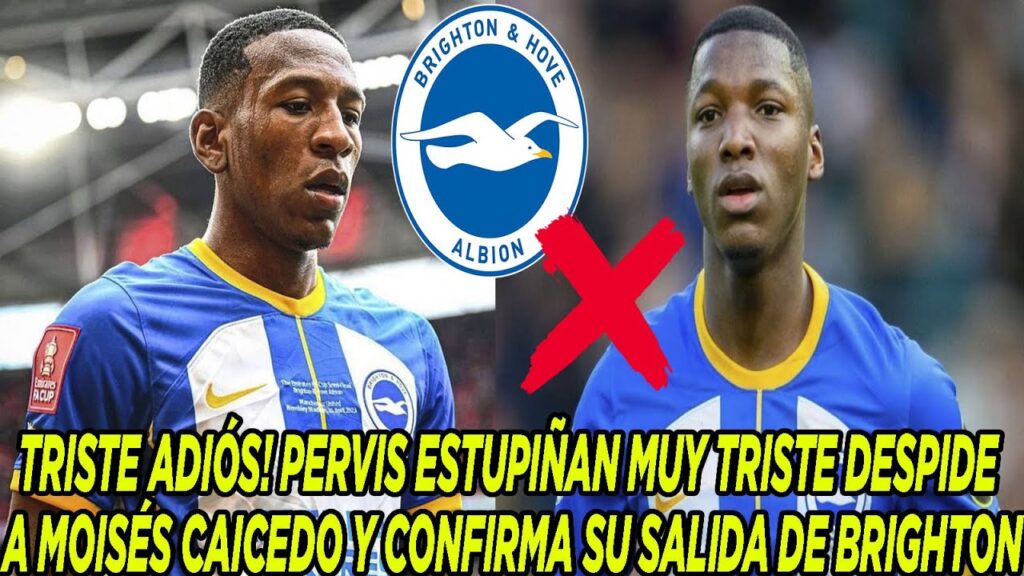 TRISTE ADIÓS! PERVIS ESTUPIÑAN MUY TRISTE DESPIDE A MOISÉS CAICEDO Y CONFIRMA SU SALIDA DE BRIGHTON