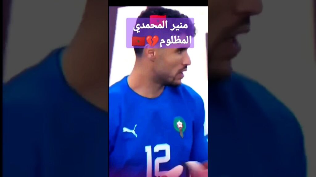 تصديات العنكبوت منير المحمدي 👏👏🇲🇦