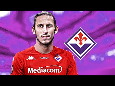 KAMIL GRABARA - Welcome to Fiorentina? - 2023 - Crazy Saves & Reflexes (HD)