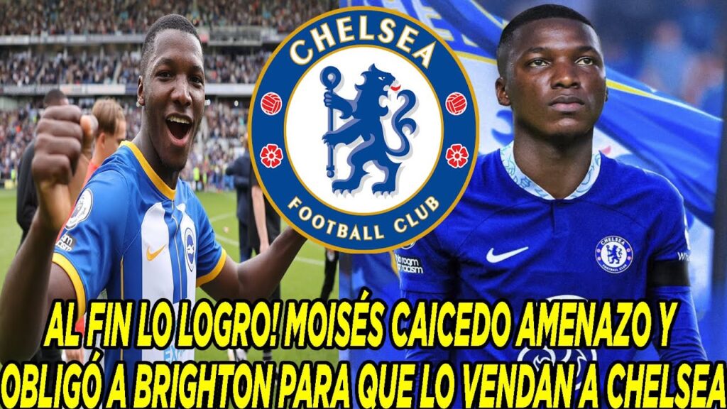 AL FIN LO LOGRO! MOISÉS CAICEDO AMENAZO Y OBLIGÓ A BRIGHTON PARA QUE LO VENDAN A CHELSEA