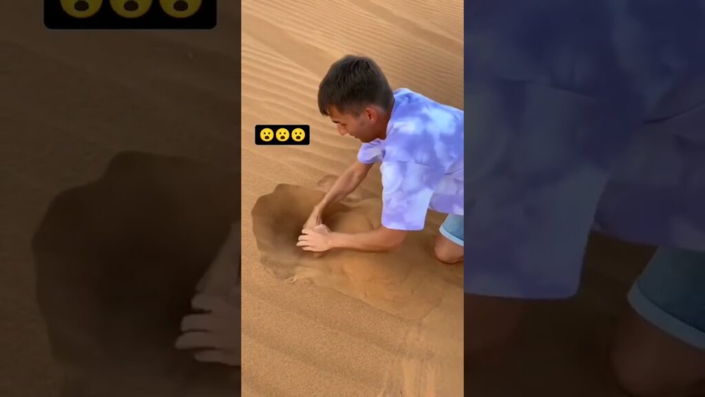 whats your reaction after yhis