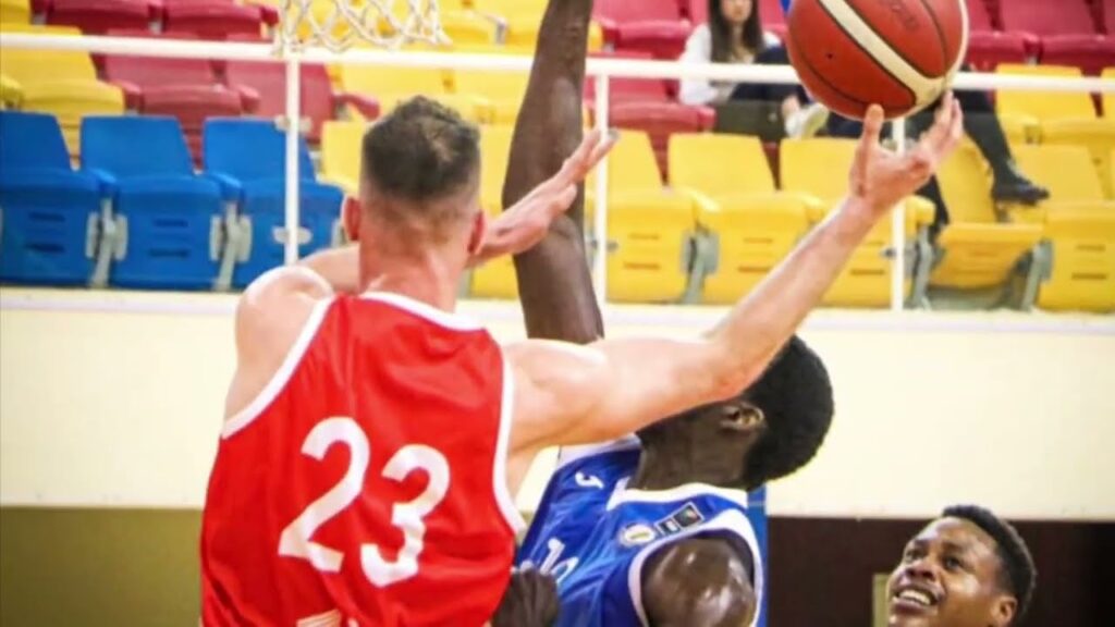 Aleksandar Mitrović Al Shamal Highlights 2022 - 2023