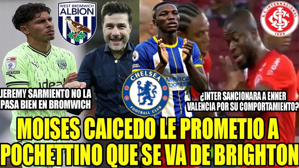 MOISES CAICEDO LE PROMETIO A POCHETTINO QUE SE VA DE BRIGHTON! JEREMY SARMIENTO SUFRE EN BROMWICH