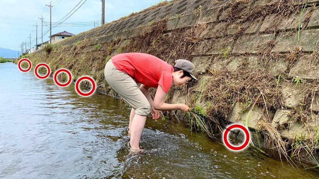 300個の「穴」に、エサを突っ込むと・・・ウナギが大量に!? 300個の「穴」に、エサを突っ込むと・・・ウナギが大量に!?