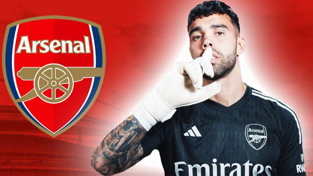 DAVID RAYA | Welcome To Arsenal 2023 ⚪🔴 Impossible Saves & Overall Goalkeeping (HD)