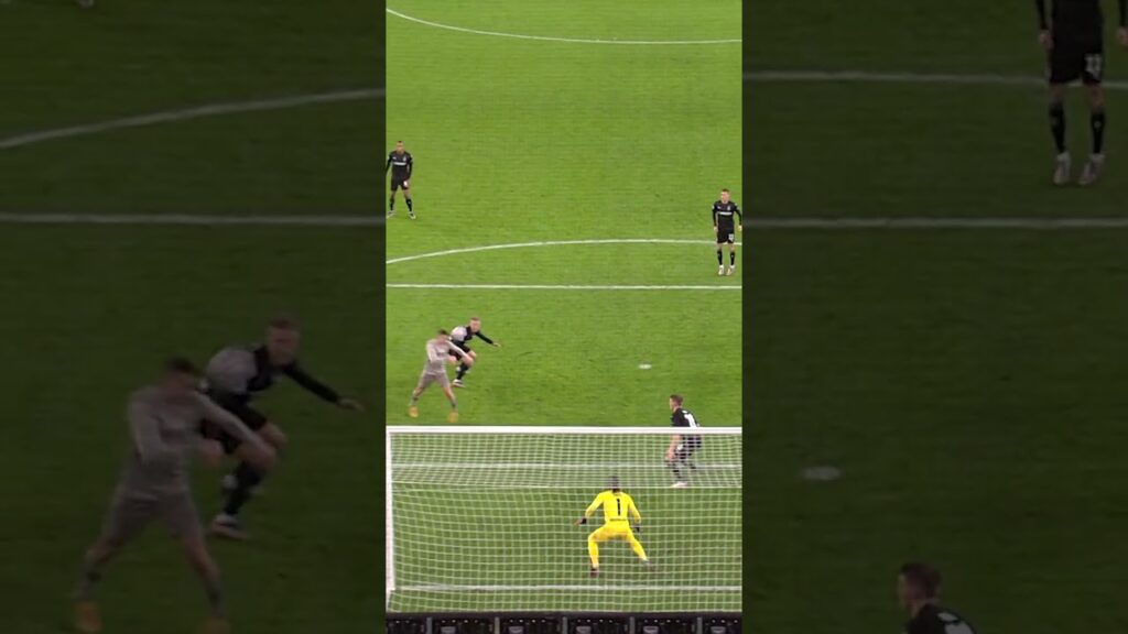 Sommer the Wall 🧱