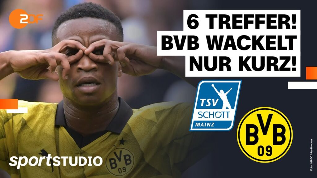 TSV Schott Mainz – Borussia Dortmund Highlights | DFB-Pokal 2023/24 | sportstudio