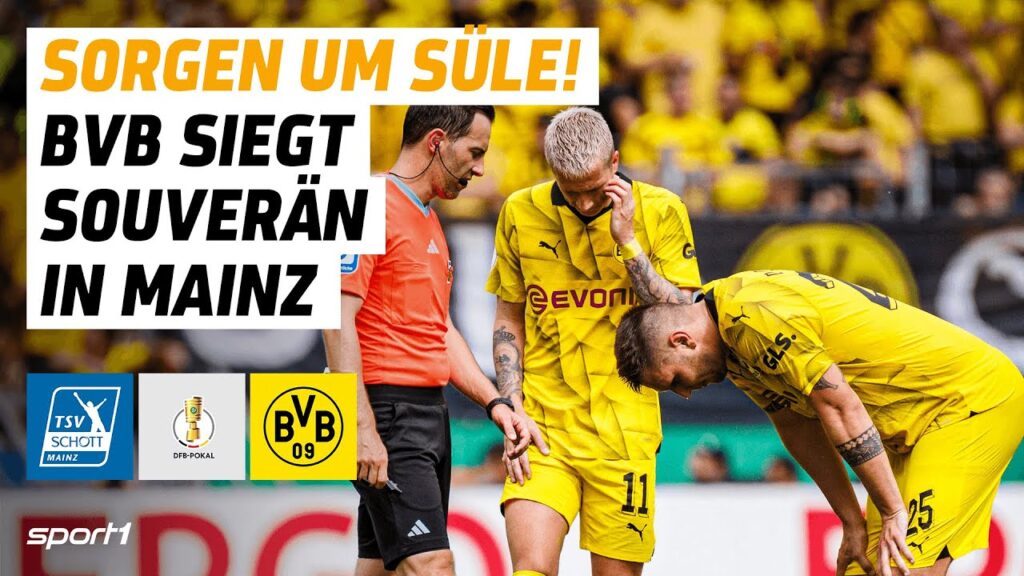 TSV Schott Mainz - Borussia Dortmund | DFB-Pokal 1. Runde Tore und Highlights