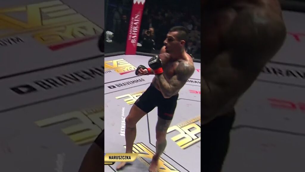 MMA BRAVE / Aleksandar Džoker Ilić