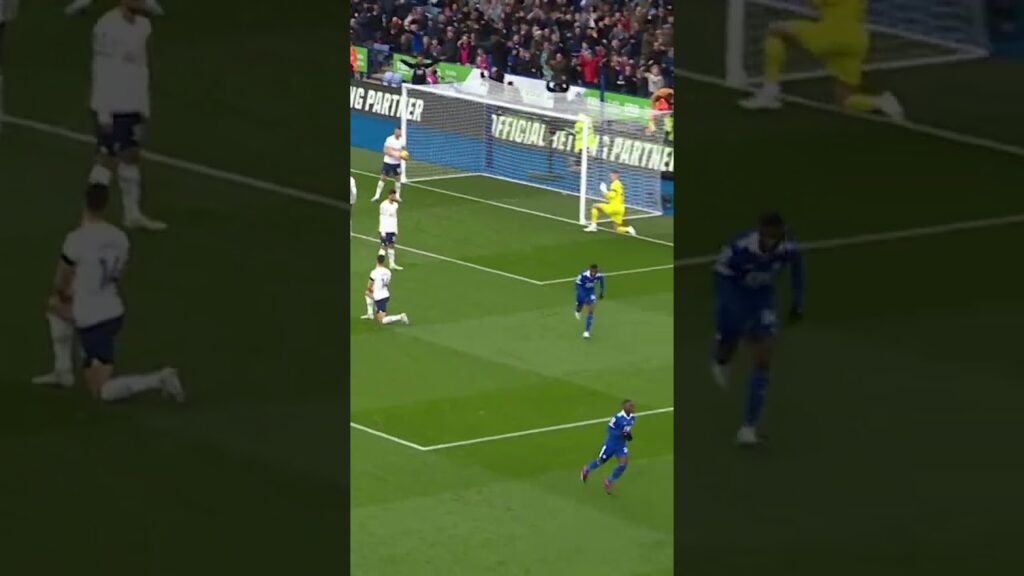 Nampalys Mendy  Goals   Leicester City