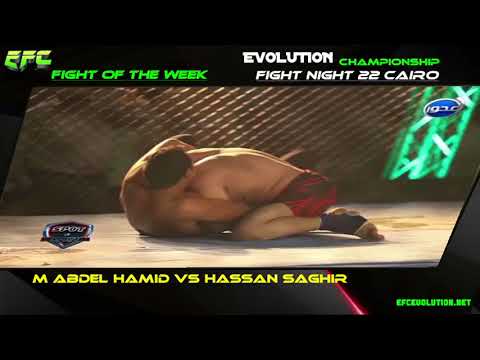 MOHAMED ABDEL HAMID VS HASSAN EFC Evolution Championship