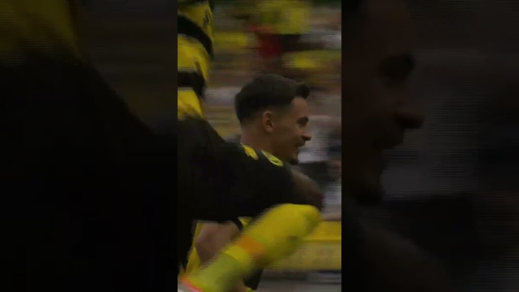 Fabian Rieder gegen Winterthur #bscyb #ybforever