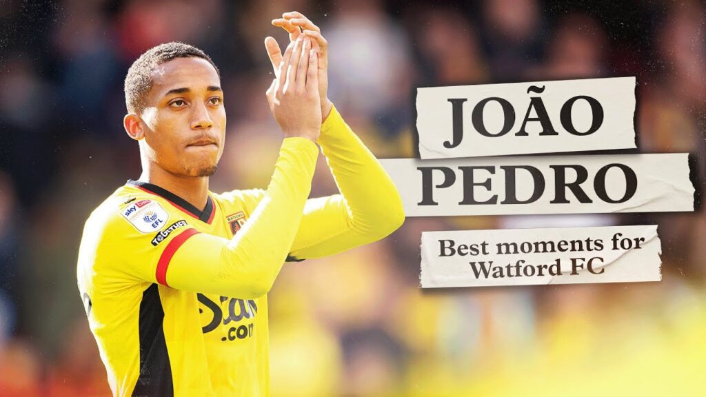 João Pedro | All Goals & Assists For Watford 💛🇧🇷