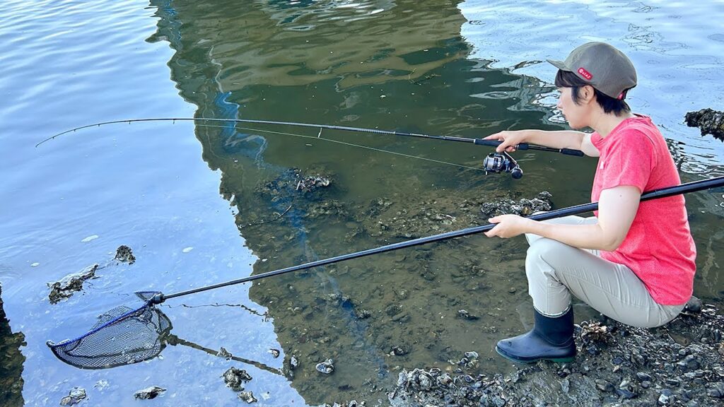 伊勢エビより、高級食材が大量にとれる!? 伊勢エビより、高級食材が大量にとれる!?