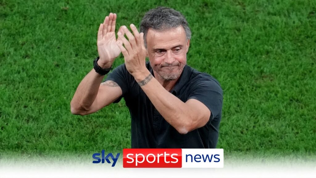 PSG appoint Luis Enrique