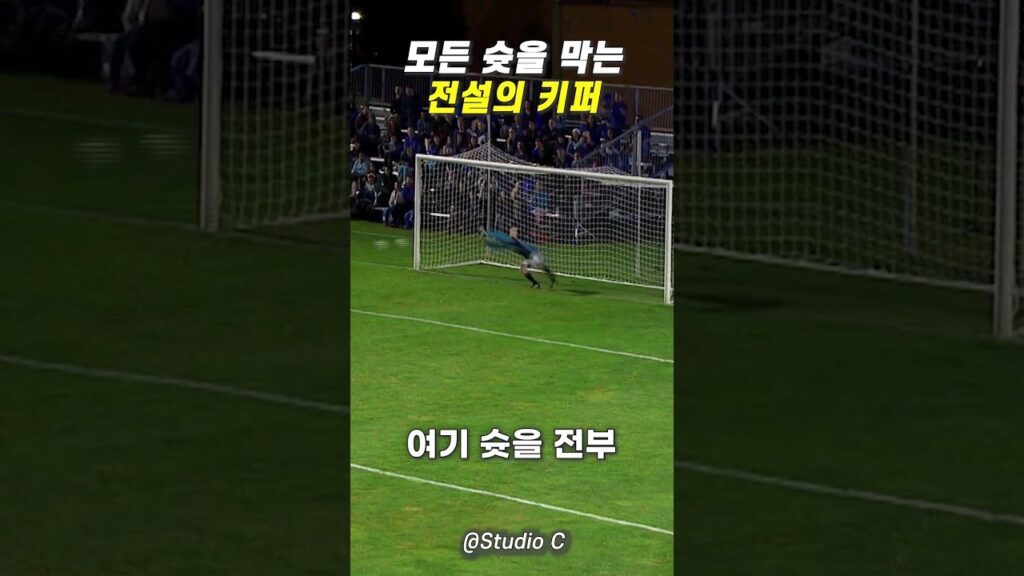 골 먹히는 것을 용납하지 않는 키퍼(슈퍼세이브)