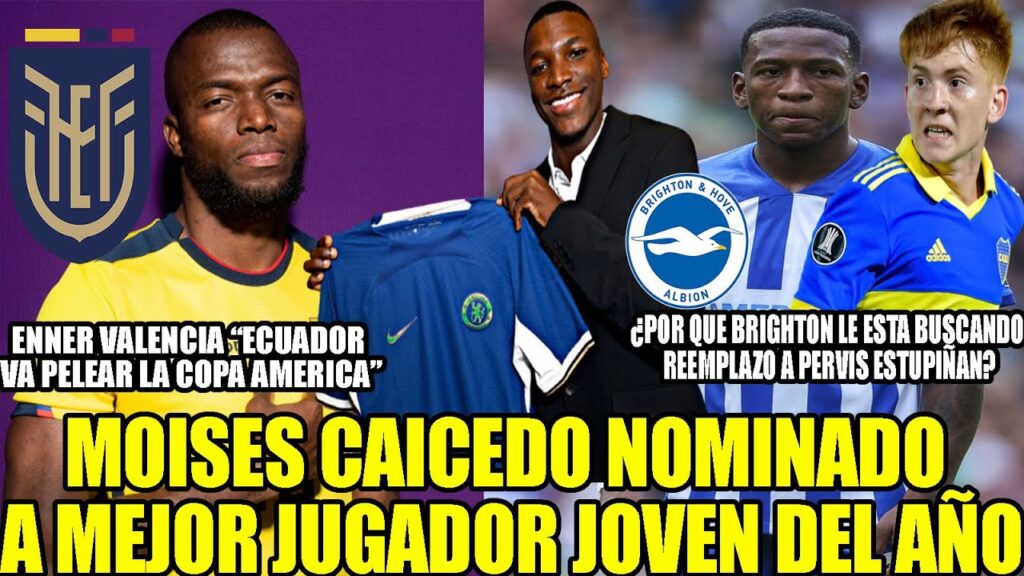 ¿POR QUE BRIGHTON LE ESTA BUSCANDO REEMPLAZO A PERVIS ESTUPIÑAN? RECONOCIMIENTO PARA MOISES CAICEDO