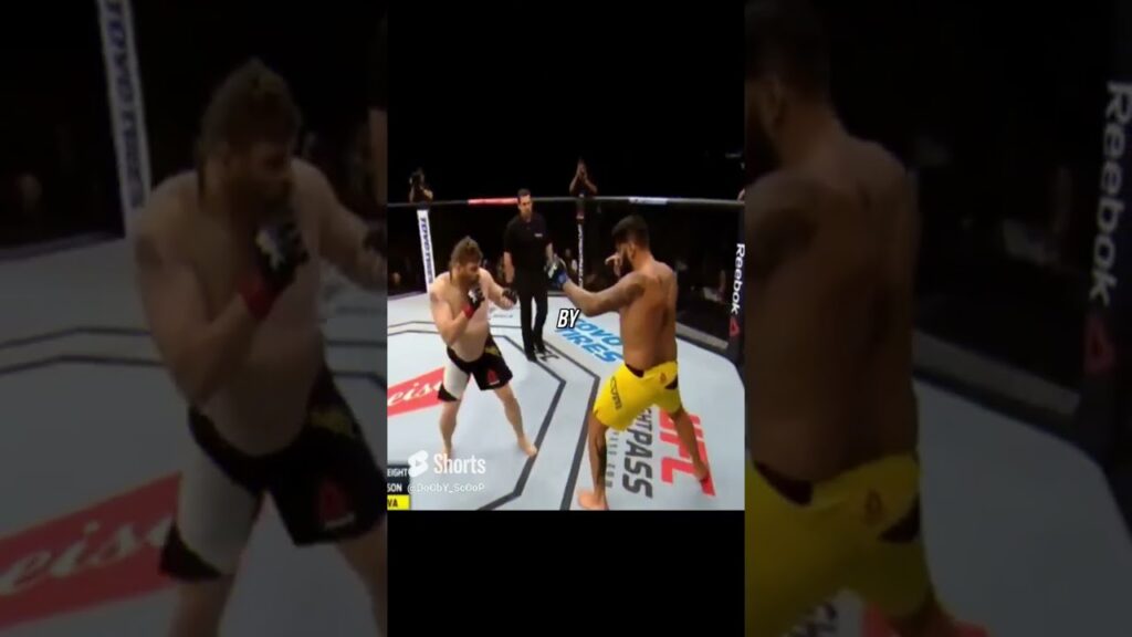 He Save's His Opponent & Kicked Referee | Roy Nelson Vs Antonio Silva