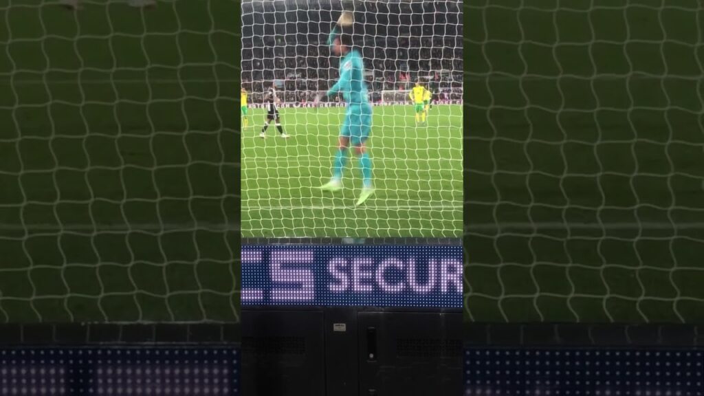 Callum Wilson penalty. Nufc v Norwich. Tim krul. 21-22 season