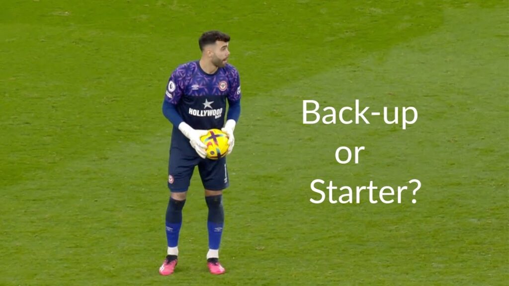 This is Why Arsenal Signed David Raya❗️