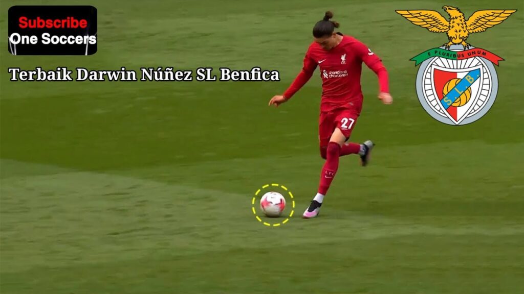 Terbaik Darwin Núñez SL Benfica #darwinnúñez #darwinnunez #darwinnuñez @slbenfica #football #soccer
