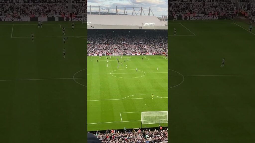 Callum Wilson scores vs villa