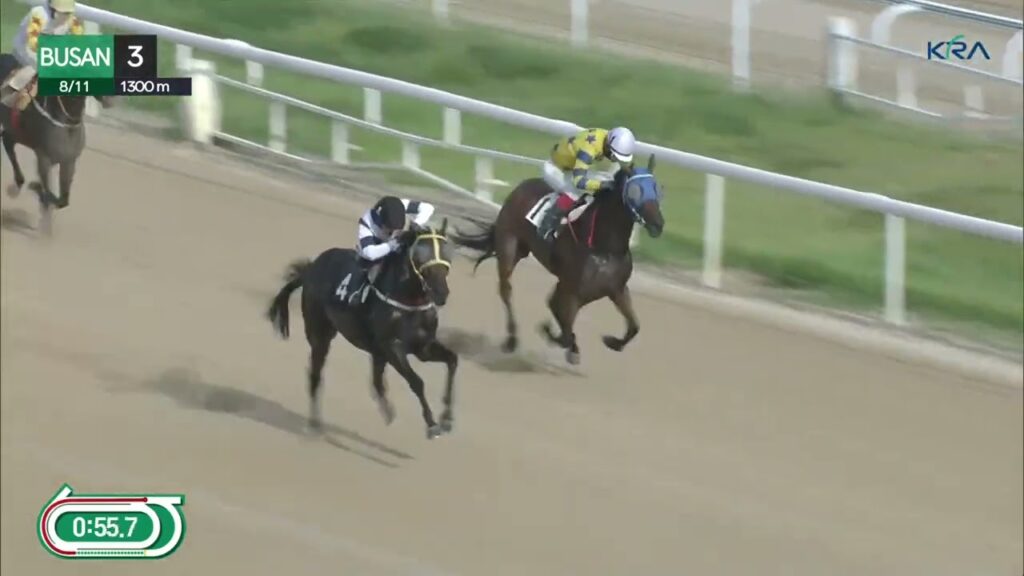 (Busan) 2023.08.11 R3 Class 6 (1300M) Special Weight A