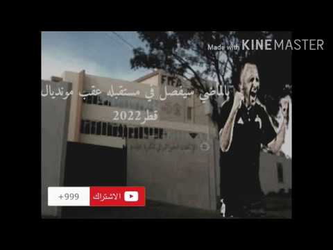 الناخب الوطني جمال بالماضي سيفصل عن مستقبله المهني|عقب مونديال قطر 2022