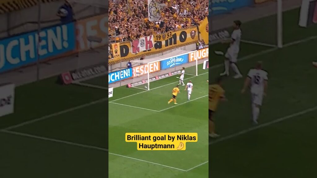 Some Dynamo Dresden MAGIC 🪄