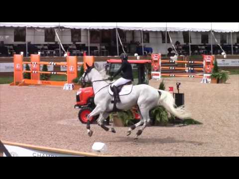 Quel Cadans z, 145cm, Angelstone day2