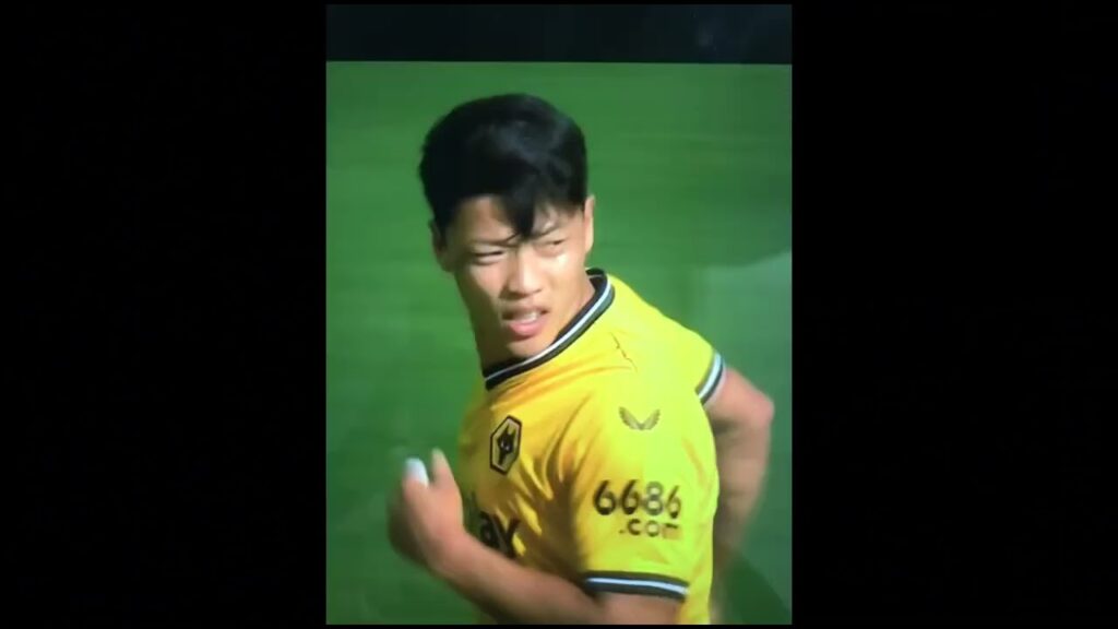 Goal Hee-Chan Hwang 1-4 Wolves vs Brighton