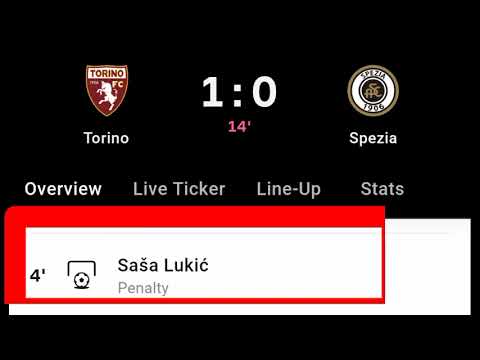 Sasa Lukic Goal Vs Spezia | Torino Vs Spezia | 1-0 |