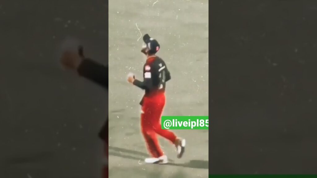 ipl 🇮🇳 #shortsvideo