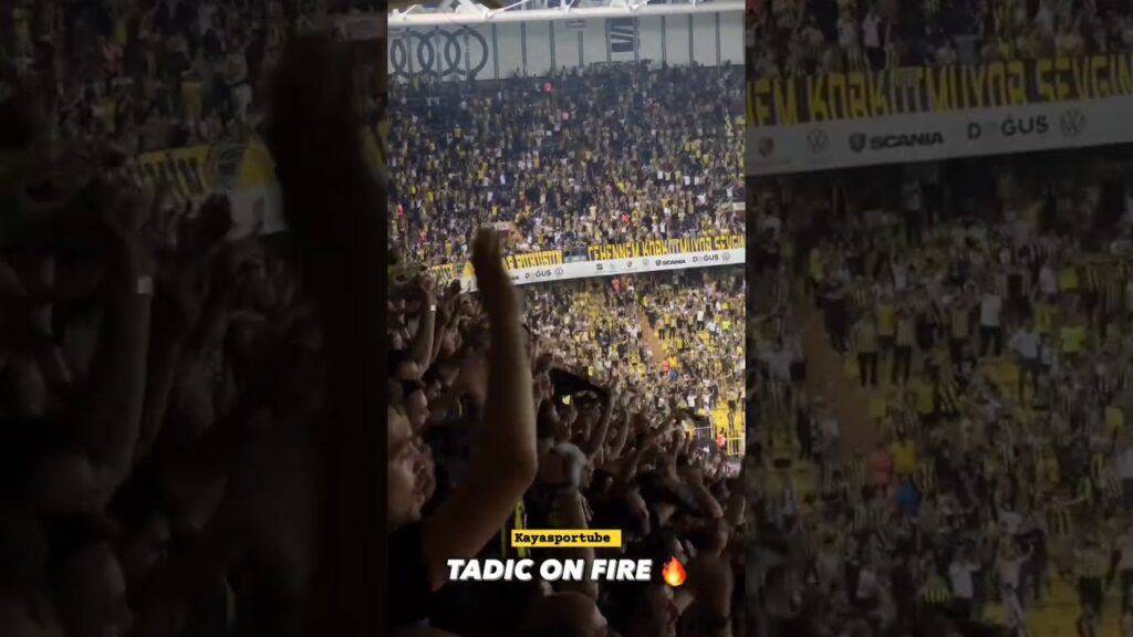 5-1 #sondakika #fenerbahce #twente GOL #tadic #tadiconfire KADIKOY COK GUZEL