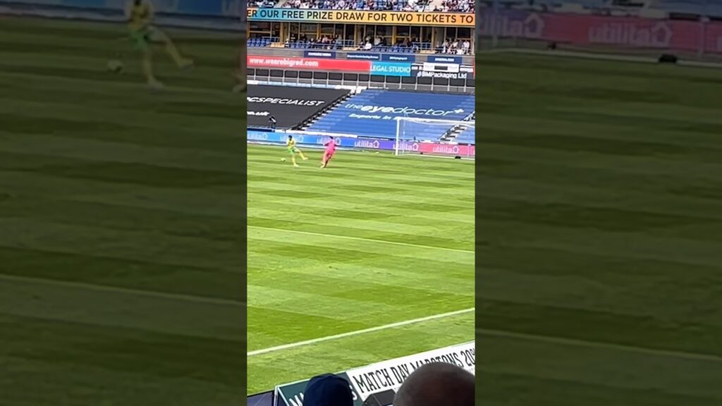 Norwich away end errupts as Josh Sargent scores in Huddersfield 0-4 Norwich