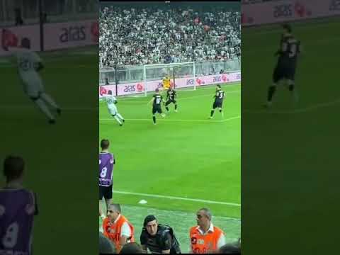 Beşiktaş 2 - 1 Neftçi Bakü | Vincent Aboubakar'dan şık gol | Tribün Çekimi | 17.08.2023