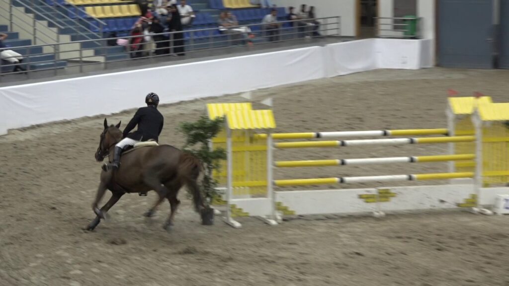 2nd place for Mohammed Omran Al Owais with Brazoria De Semilly.