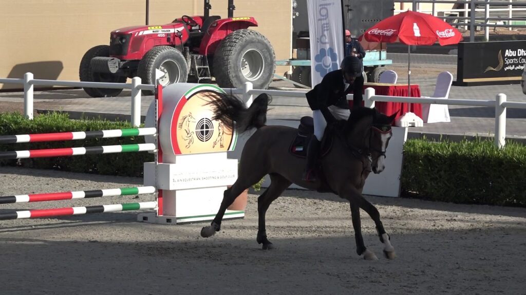 2nd  place for Mohammed Ahmed Al Owais with JL'S Cellestina