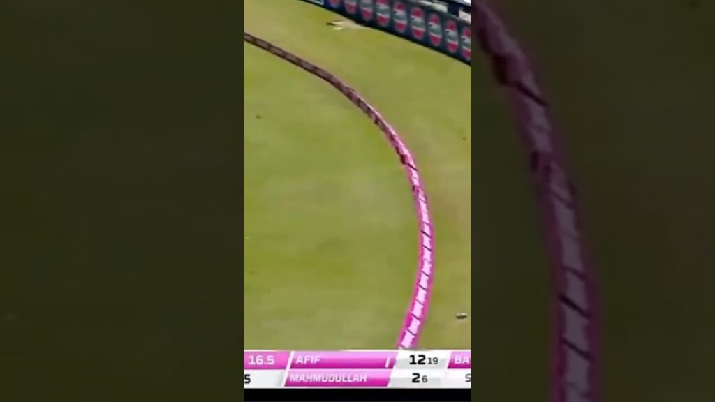 what a Cover Drive 💥💥 by Afif #shorts #ifranin #bdcricket