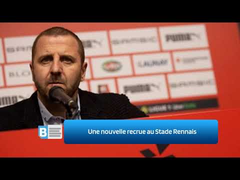 Une nouvelle recrue au Stade Rennais