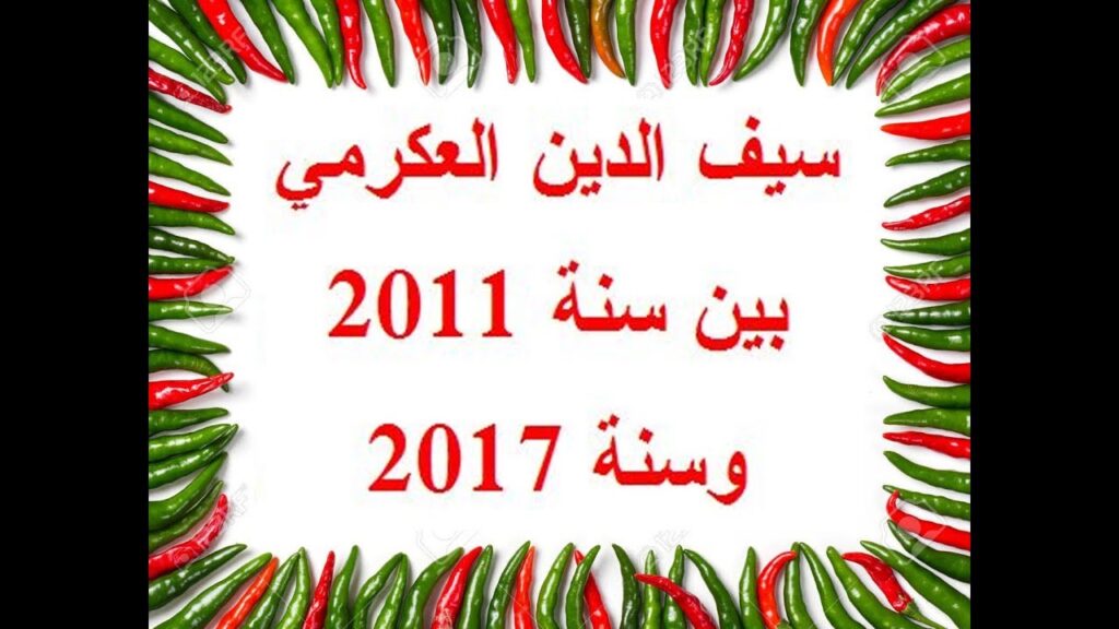 Seifeddine Akremi entre 2011 et 2017