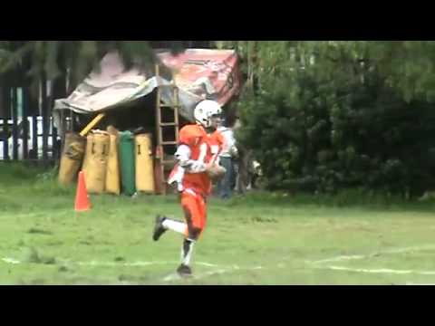 Anotación #17 CABALLEROS AGUILA Diego Palacios    YouTube