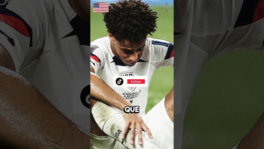 ¡POBRE TYLER ADAMS! 💔🇺🇸 IBA A CUMPLIR UN SUEÑO FICHANDO POR EL CHELSEA, PERO LO DEJARON DE LADO