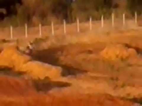 TREINO DE RÓ E RODRIGO