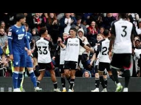 Gol de Raul Jimenez  - Fulham vs Hoffenheim 1 - 0