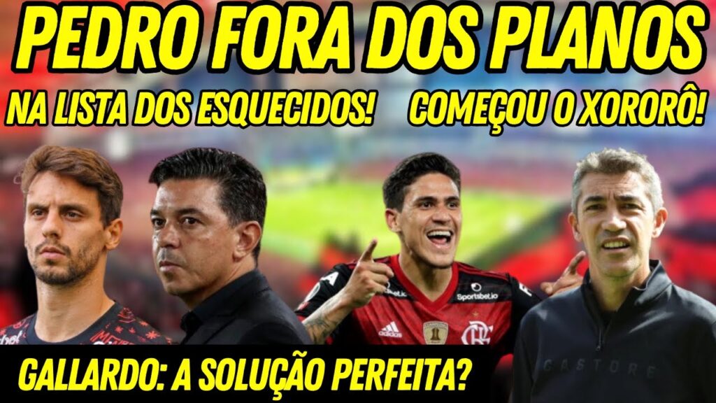 FULHAM DESISTE DE PEDRO! NOME DE GALLARDO SURGE NO FLAMENGO! E QUE COMECE O XORORÔ! E+ ⚫🔴