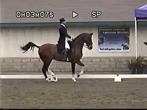 Aaron Wilson Grand Prix with Nimbus 16 H Dutch Gelding