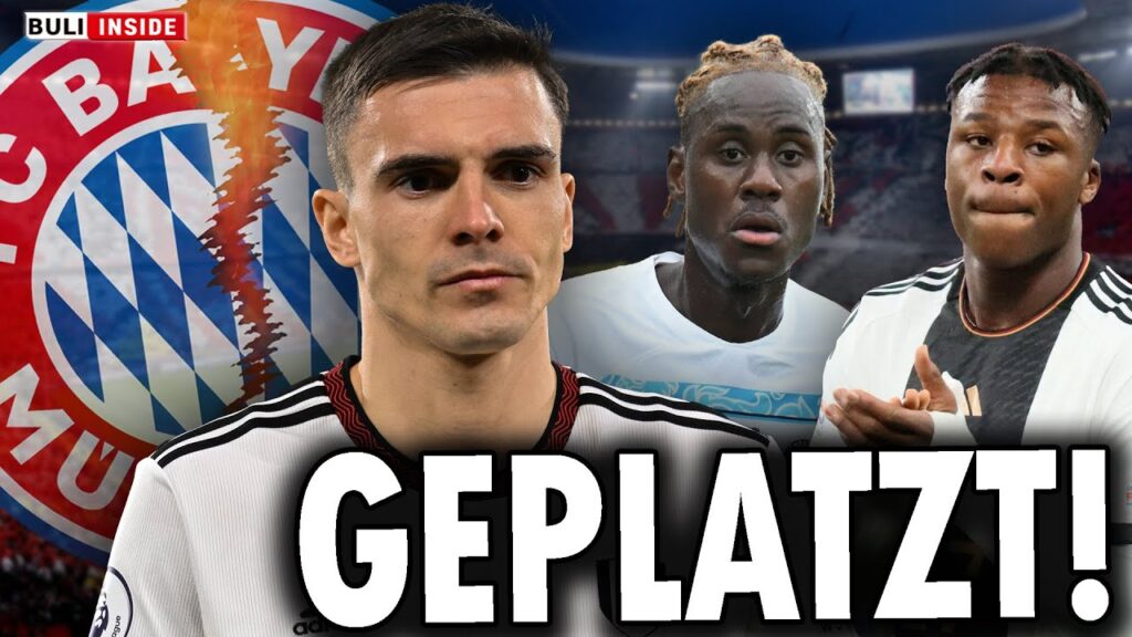 BAYERN-BLAMAGE: Transfers von Palhinha, Bella-Kotchap & Chalobah  GEPLATZT!