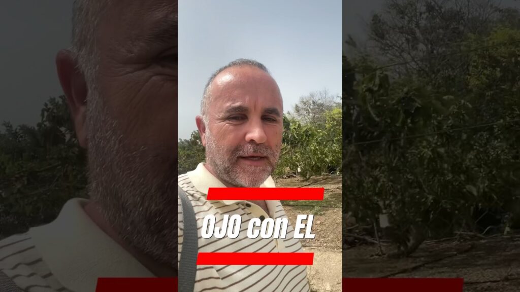 Manager de la liga Comunio kings league #futbol #laliga #take #takekubo #fichajes #comunio