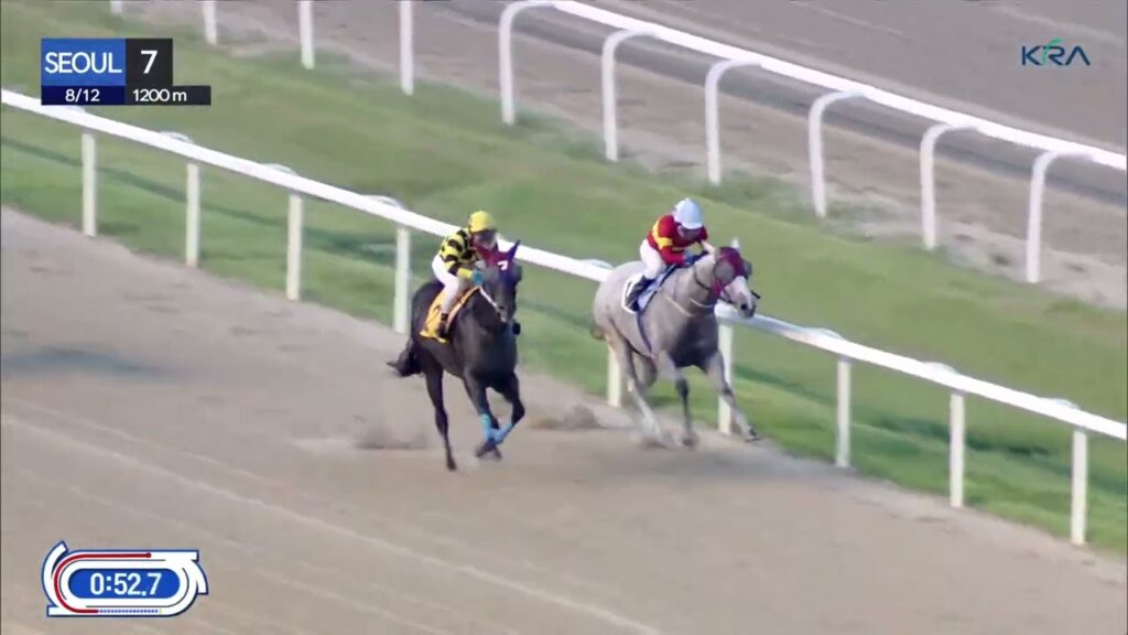(Seoul) 2023.08.12 R7 Class 4 (1200M) Handicap